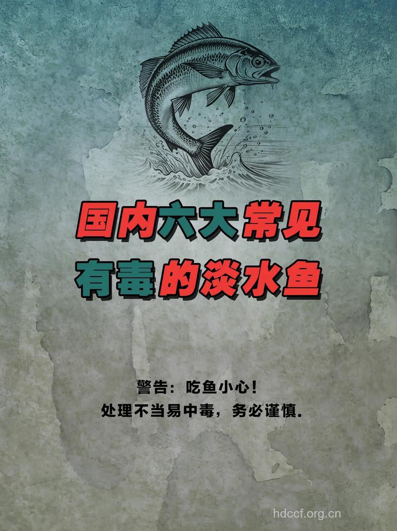 怎么应对吃鱼中毒方法