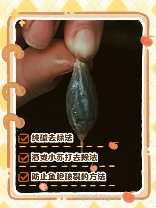 食用鱼胆中毒了怎么办