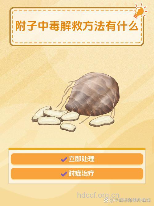 如何救治中药中毒