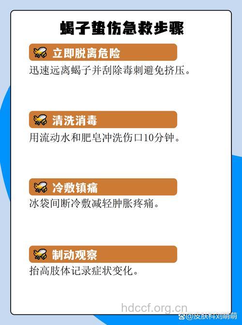 蝎子蛰伤的急救措施