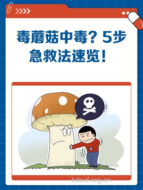 蘑菇中毒如何急救？