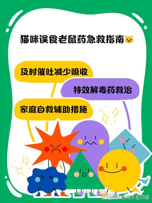 误食老鼠药该如何急救