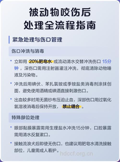 被疯动物咬伤后要如何处理伤口