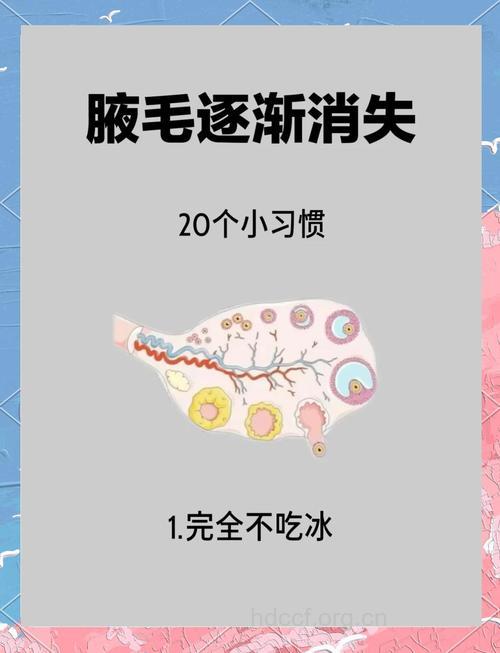 夏季女性拔腋毛要注意哪些