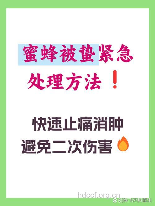 出游踏青 被蜜蜂蛰怎么办