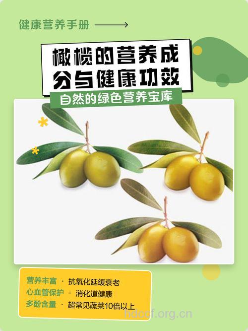 橄榄的功效与营养价值