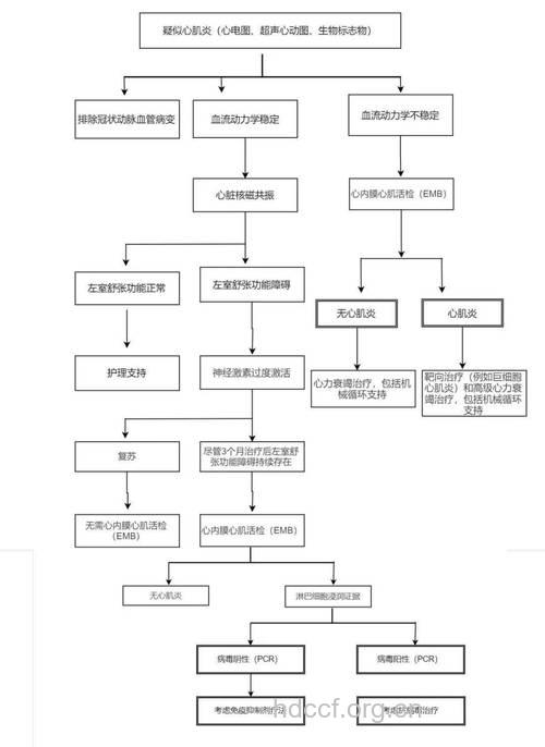 婴儿猝死的可能原因