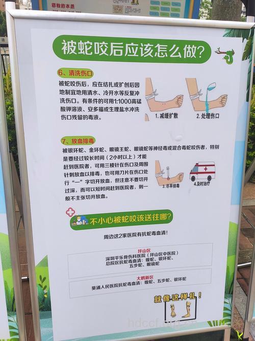 被蛇咬伤看看中西医解毒法