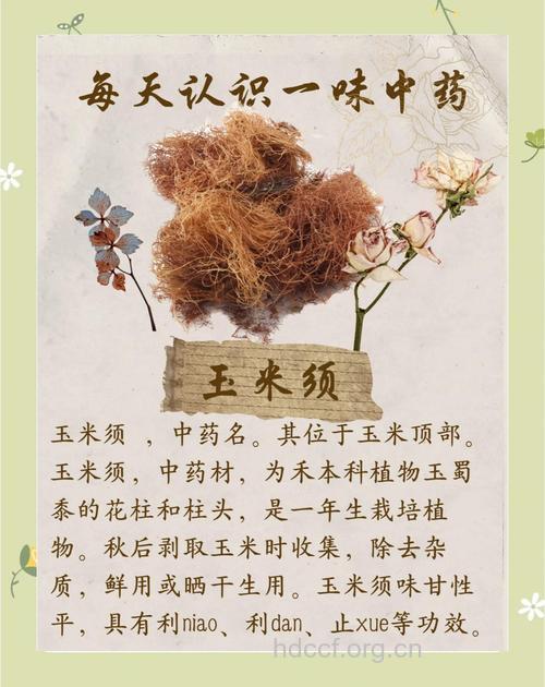 玉米须的功效和食疗作用推荐