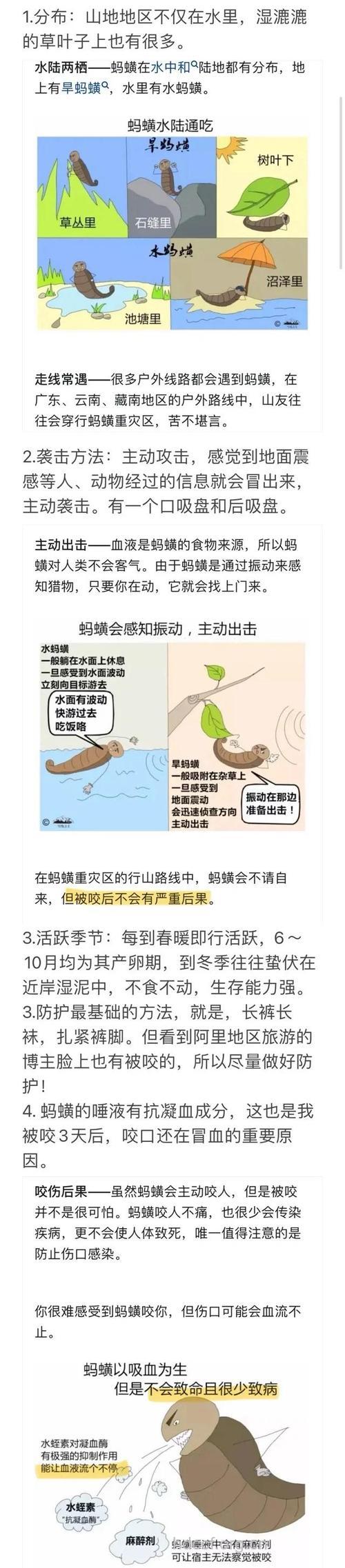 水蛭咬伤的常见急救办法