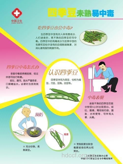 四季豆中毒知识