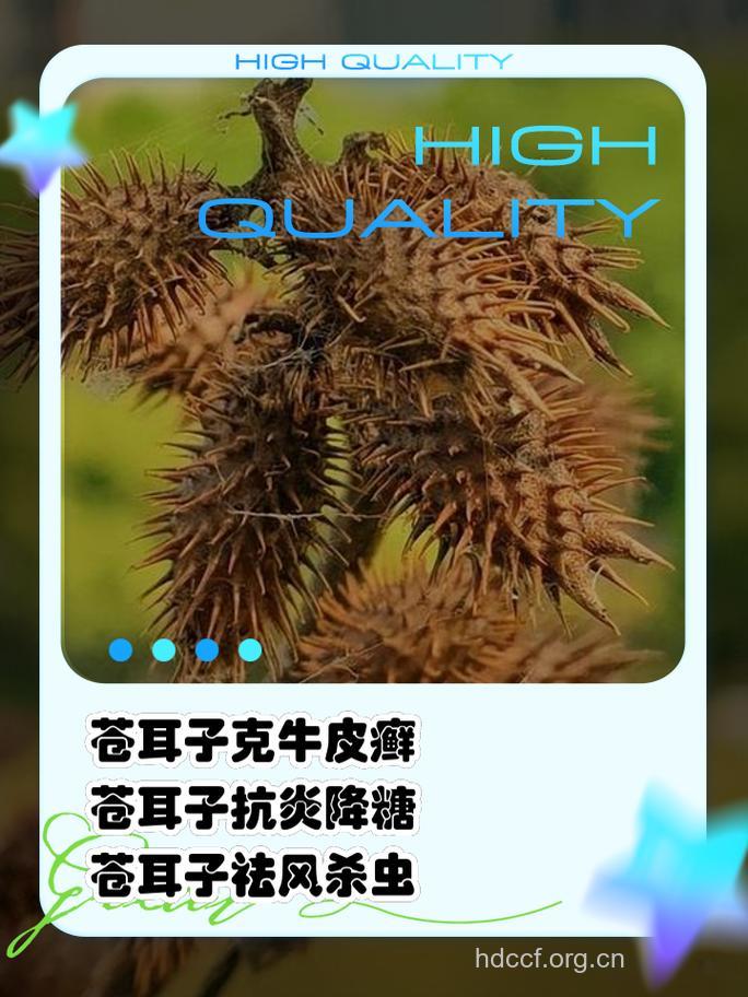 解救苍耳中毒方法