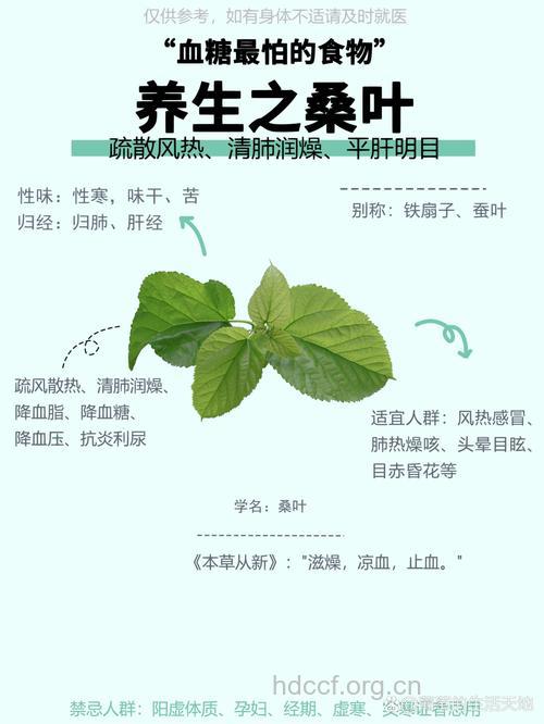 桑叶祛病美颜妙方大全