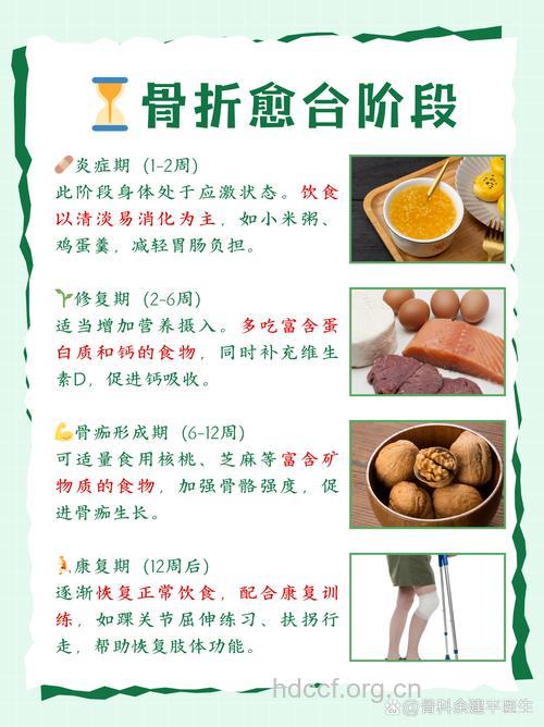 骨折恢复期的中医食疗调理方