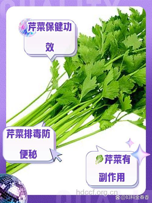 养血活血 芹菜的养生功效