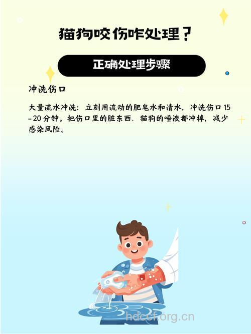 狗猫咬伤急救有什么关键点