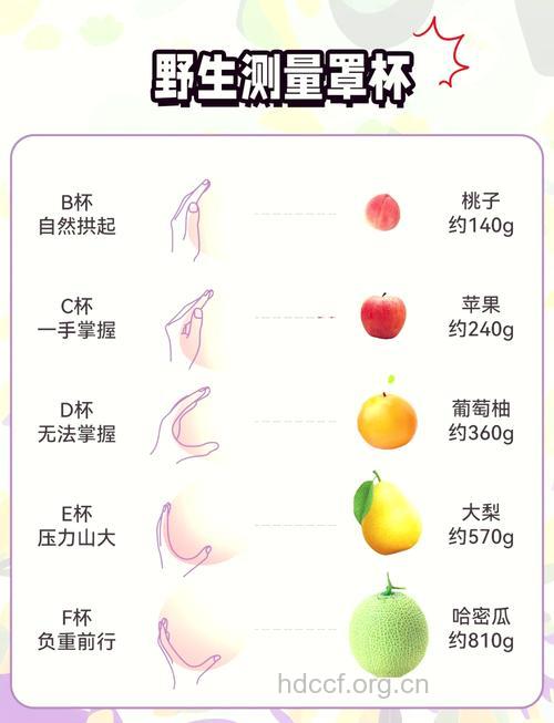 哪些水果让女性丰胸