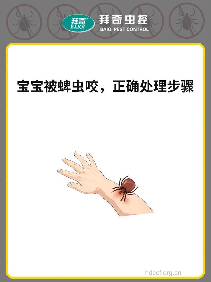 遭遇毒虫叮咬后的怎么办？