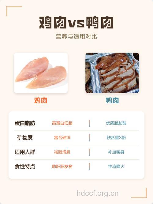 鸡肉VS鸭肉 你更适合哪一种？