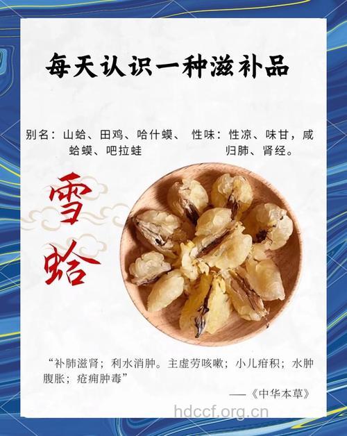 雪蛤的神奇功效和食疗方推荐