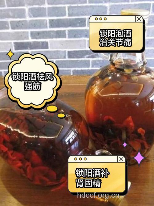 锁阳药酒 治疗男性阳痿早泄