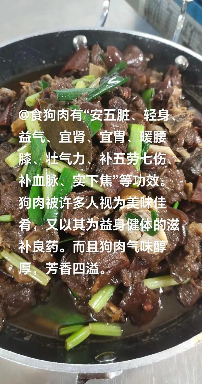 填精益肾 狗肉营养及做法推荐