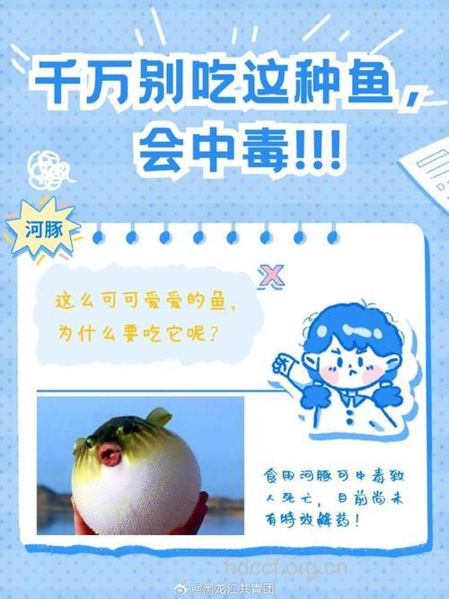 如何预防河豚中毒