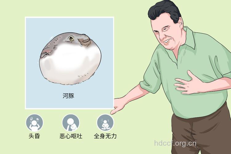 河豚毒素中毒症状表现