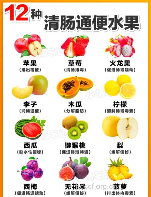 冬季吃什么水果防便秘?