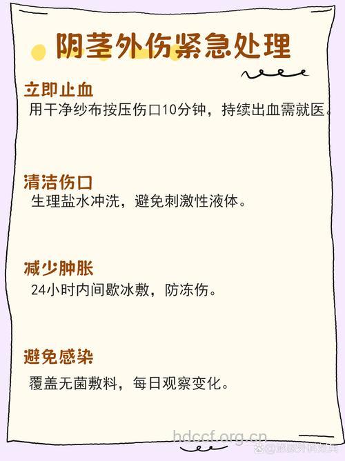 男性的阴茎受外伤该如何急救？