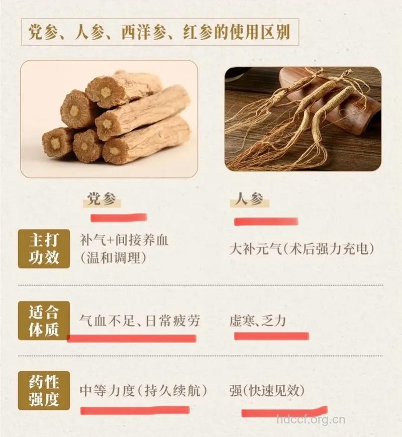 人参、红参及西洋参的功效对比