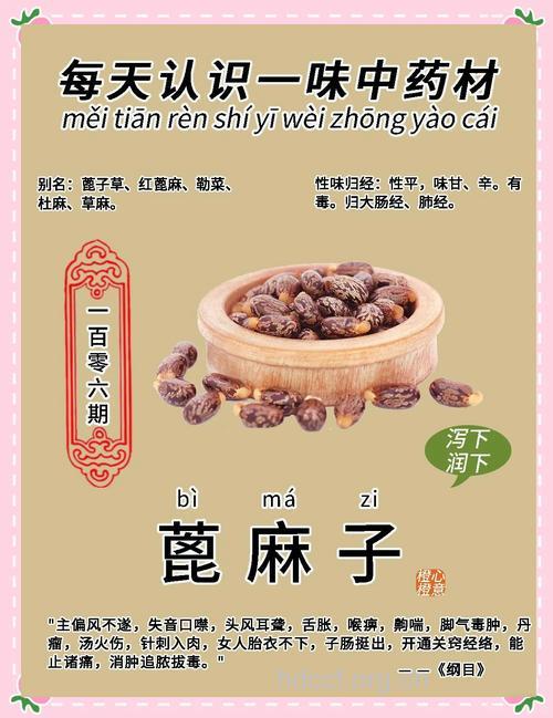 蓖麻子有啥药理作用