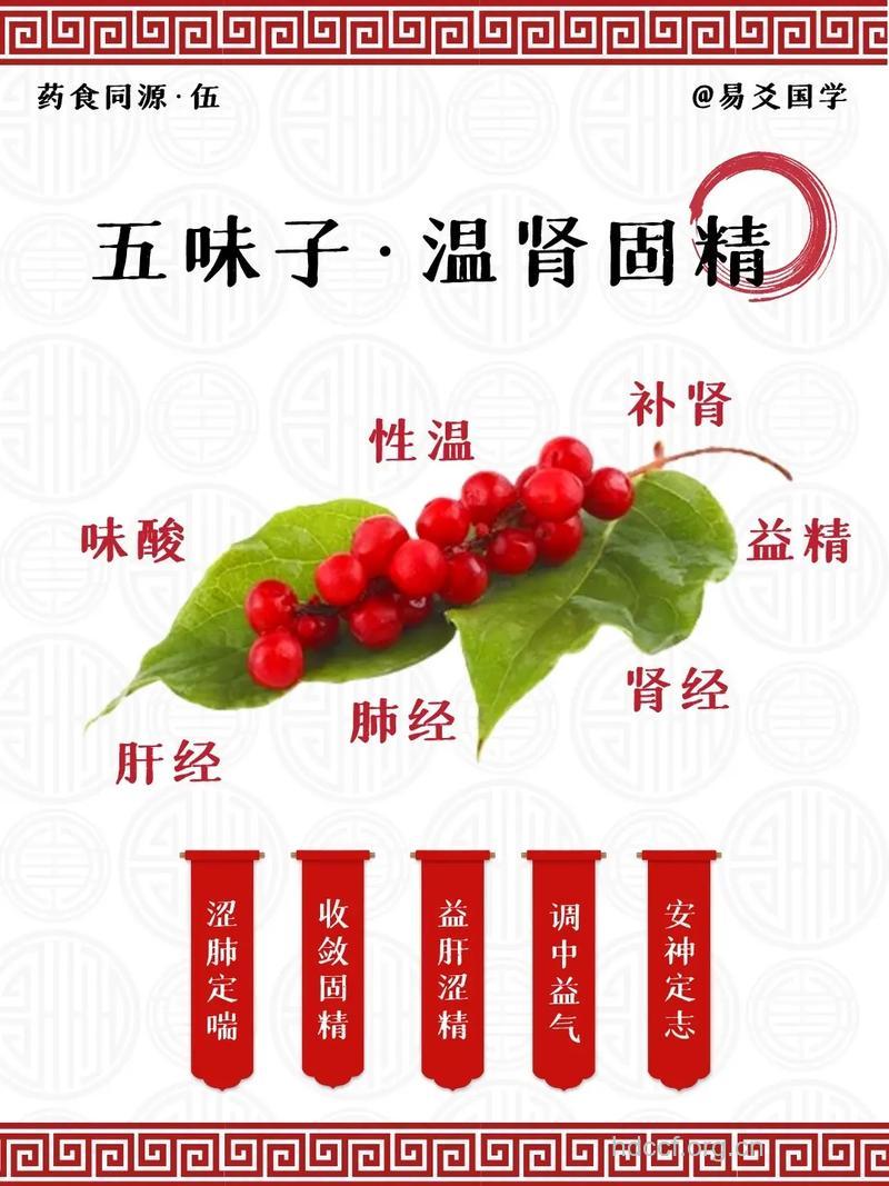 五味子的功效及食疗方推荐