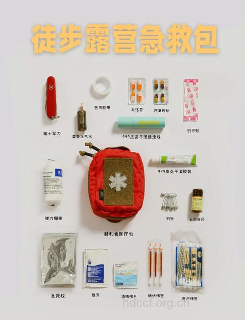 春季露营的急救知识