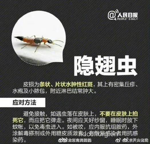 杀虫脒中毒的并发症及治疗方法