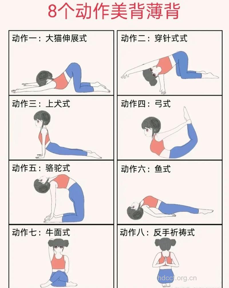 哪些妙招让你拥有美背