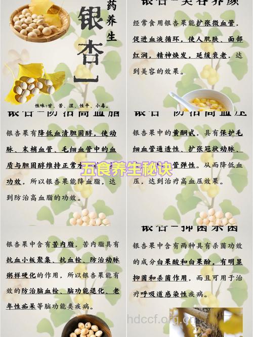 银杏（白果）中毒的中药如何治疗