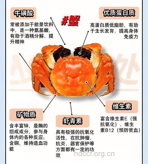 螃蟹的食疗功效及做法推荐