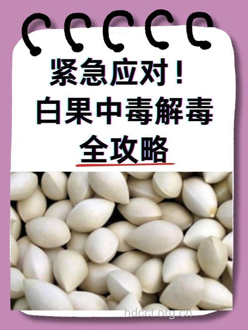 中药白果中毒的抢救方法