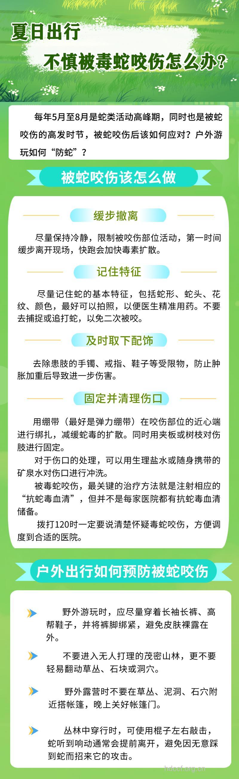 夏初天气转暖 警惕毒蛇咬伤