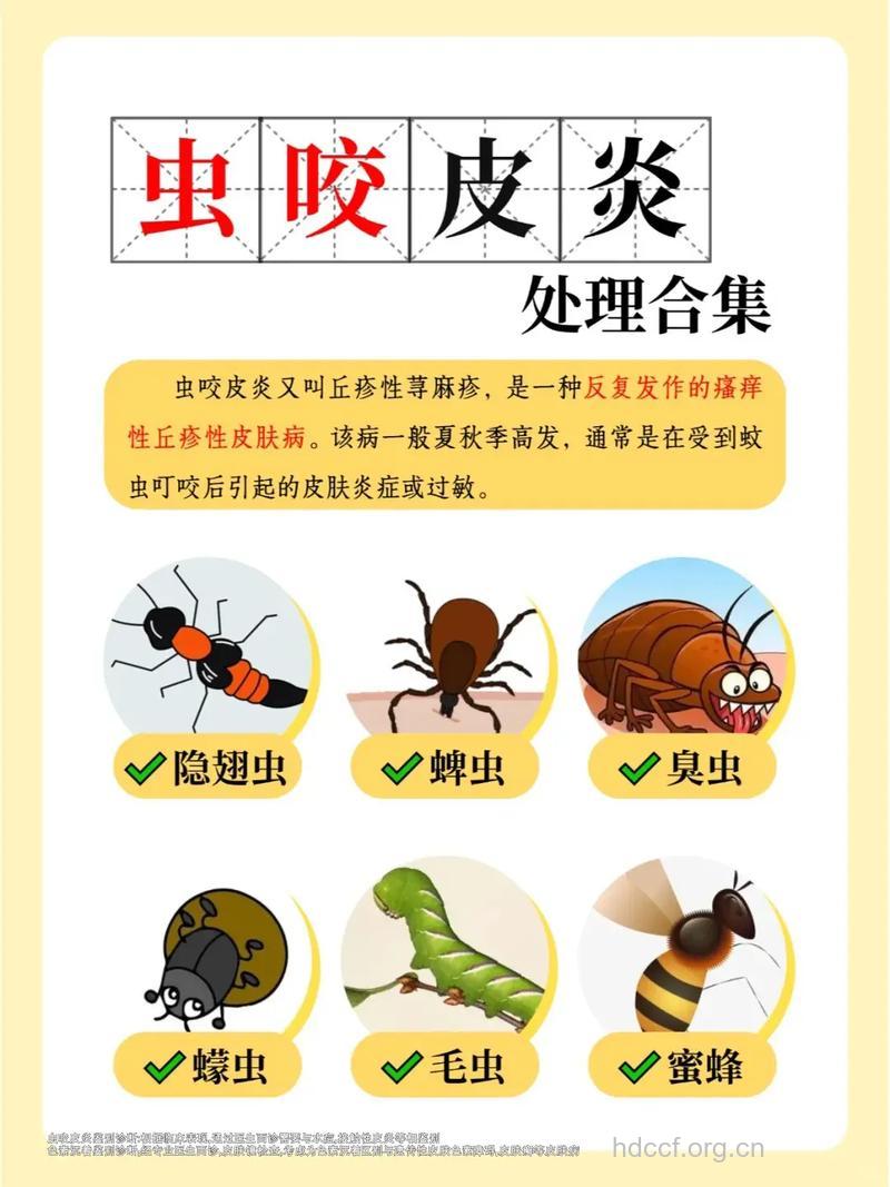 虫类叮咬 患上皮炎如何紧急处理