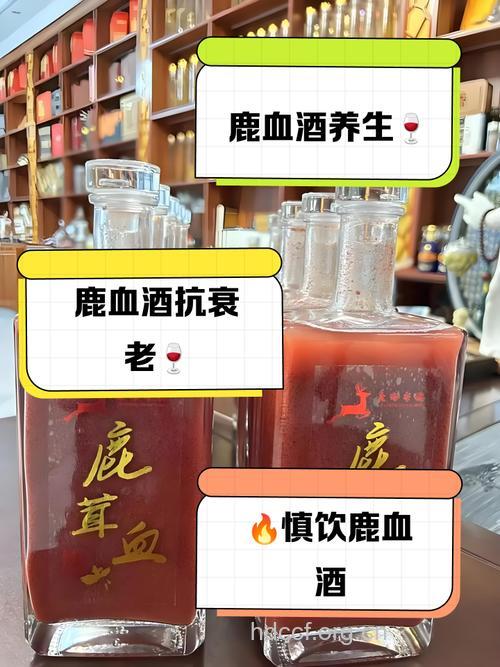 中药酒鹿血酒也能进补