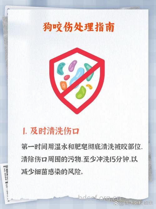 被狗咬伤后如何清洗伤口