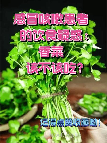 香菜 看体质治感冒