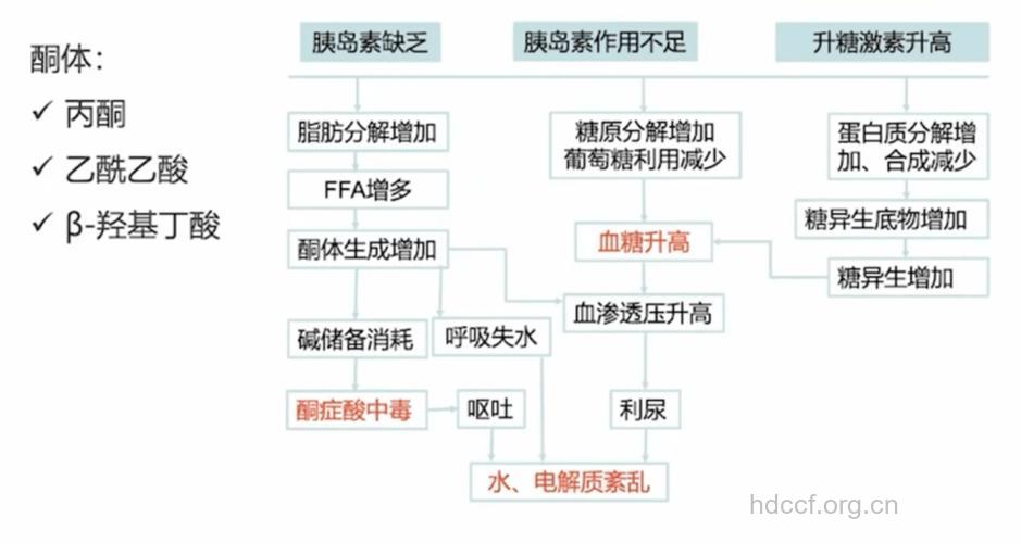 糖尿病酮症酸中毒是怎么发生的?