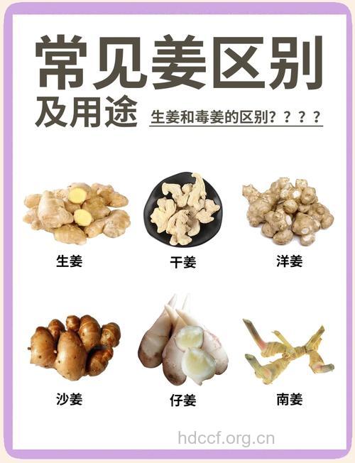 “姜”的五大不宜 你知道吗