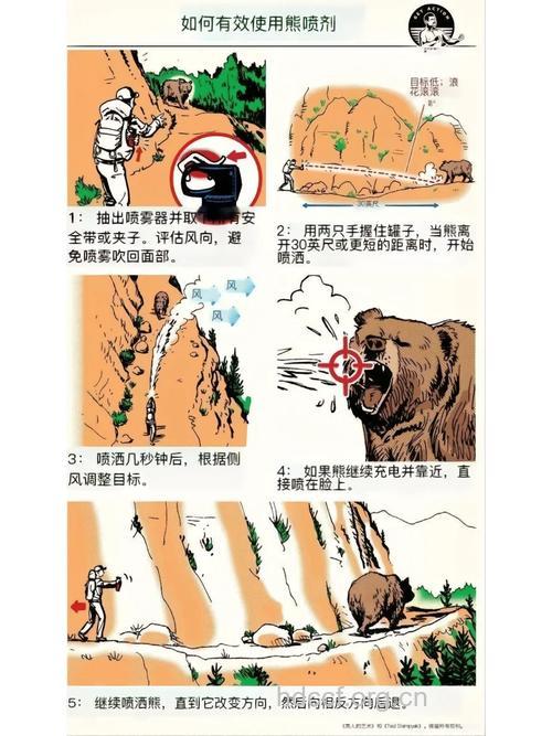 野外探险自救方法