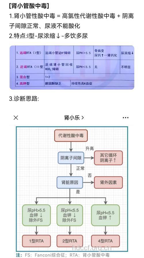 肾小管性酸中毒的诊断和治疗
