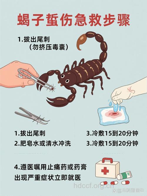 毒蝎咬伤后怎么急救?