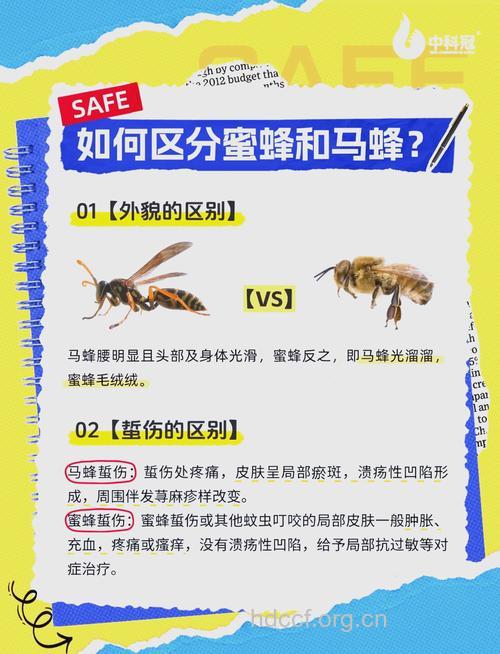 蜂蜇伤怎么处理?
